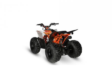 2022 Kayo PREDATOR 125 - Photo 4