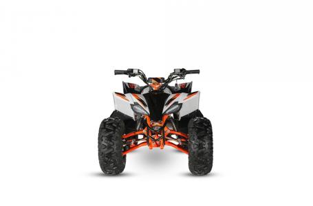 2022 Kayo PREDATOR 125 - Photo 8