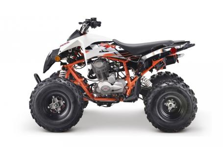 2022 Kayo Jackal 200 - Photo 8