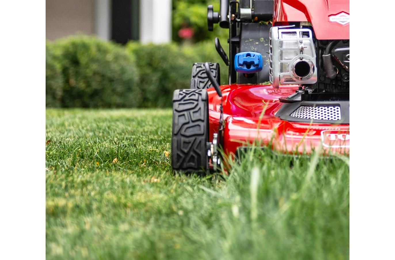 Toro 22" Personal Pace AutoDrive™ Mower (21462) for sale in Wilkes