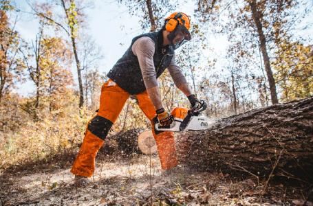 2022 STIHL MS 391 25" - Photo 3