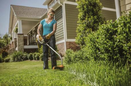 2022 STIHL FSE 60 - Photo 3