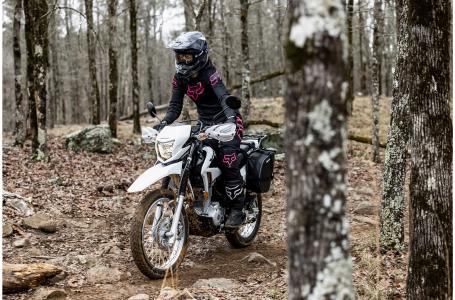 2023 Honda XR150L - Photo 4