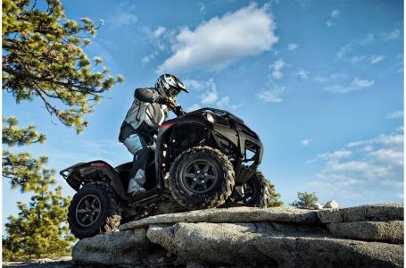 2023 Kawasaki BRUTE FORCE® 750 4x4i EPS - Photo 3