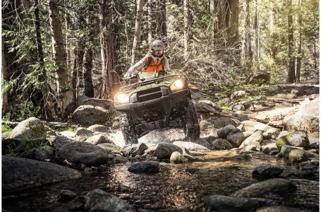 2023 Kawasaki BRUTE FORCE® 750 4x4i EPS Camo - Photo 3