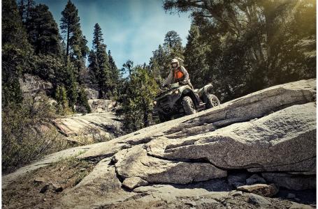2023 Kawasaki BRUTE FORCE® 750 4x4i EPS Camo - Photo 2