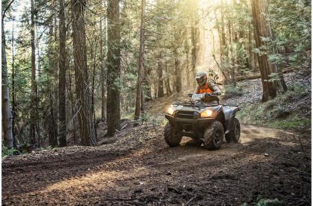 2023 Kawasaki BRUTE FORCE 750 4X4I EPS - Photo 7