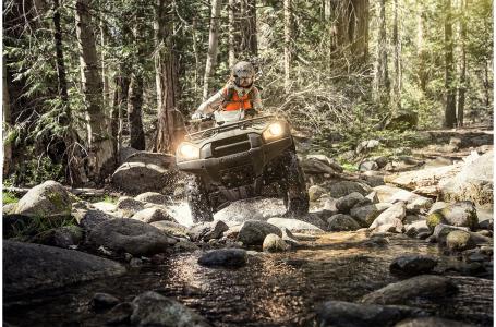 2023 Kawasaki BRUTE FORCE 750 4X4I EPS - Photo 4