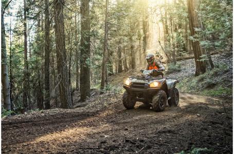 2023 Kawasaki BRUTE FORCE® 750 4x4i EPS Camo - Photo 4