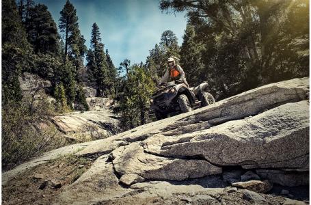 2023 Kawasaki BRUTE FORCE 750 4X4I EPS - Photo 8