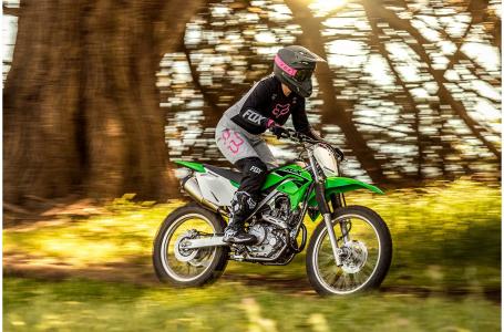 2023 Kawasaki KLX230R S - Photo 8