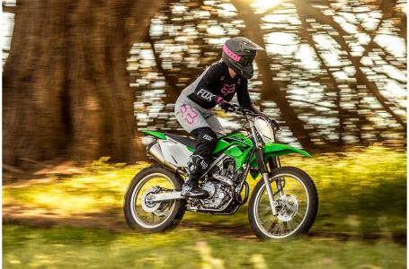 2023 Kawasaki KLX®230R S - Photo 5