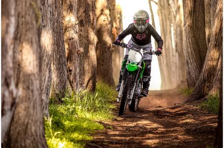 2023 Kawasaki KLX®230R S - Photo 6