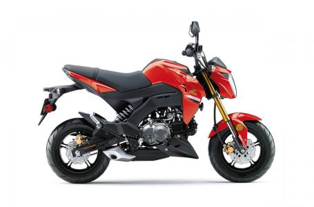 2023 Kawasaki Z125 PRO - Photo 14