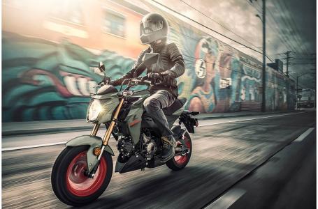 2023 Kawasaki Z125 PRO - Photo 3