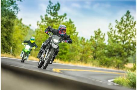 2023 Kawasaki KLX®230 S - Photo 12
