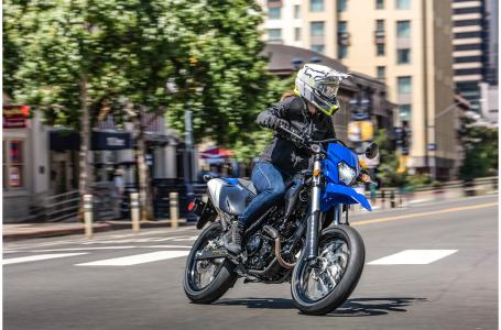 2023 Kawasaki KLX®230SM - Photo 10