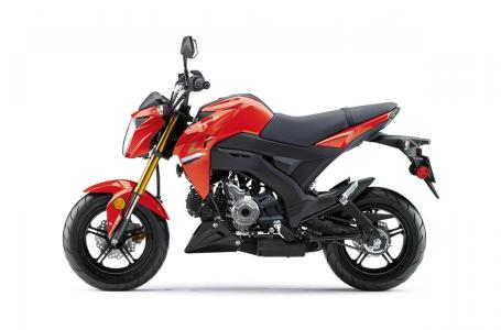 2023 Kawasaki Z125 PRO - Photo 12