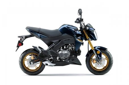 2023 Kawasaki Z125 PRO - Photo 11