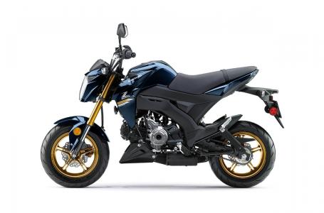 2023 Kawasaki Z125 PRO - Photo 9