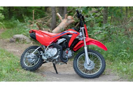 2023 Honda CRF110F - Photo 2