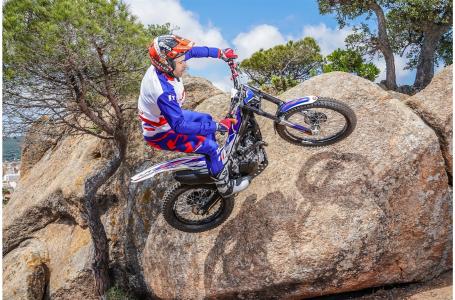 2023 Honda Montesa Cota 301RR - Photo 4