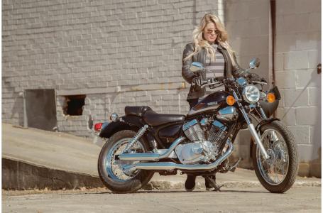 2023 Yamaha V STAR 250 - Photo 16
