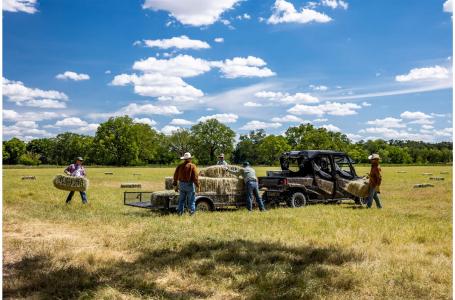 2023 Honda PIONEER 1000-6 DLX CREW - Photo 3