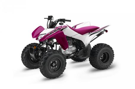 2023 Honda TRX250X - Photo 2