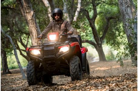 2023 Honda FourTrax Foreman 4X4 ES EPS - Photo 2