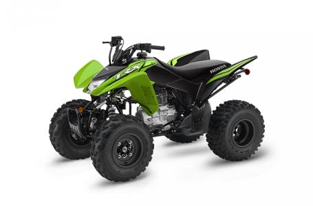 2023 Honda TRX250X - Photo 3