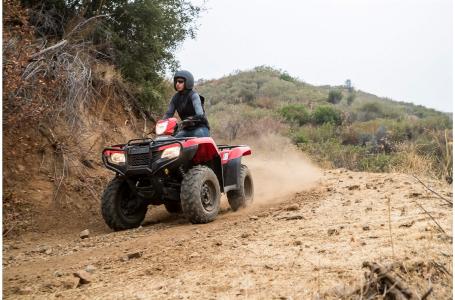 2023 Honda FourTrax Foreman 4X4 - Photo 5