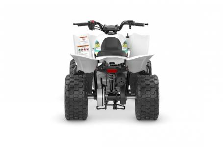 2023 Yamaha YFZ 50 - Photo 4