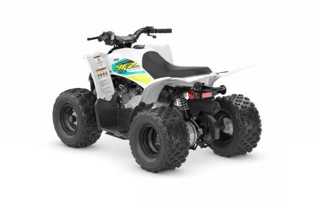 2023 Yamaha YFZ 50 - Photo 5