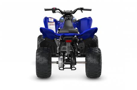 2023 Yamaha RAPTOR 90 - Photo 4