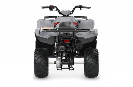 2023 Yamaha GRIZZLY 90 - Photo 4