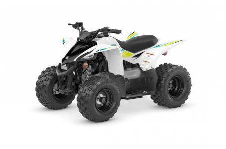 2023 Yamaha YFZ 50