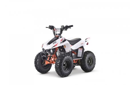 2023 Kayo Storm 70 - Photo 3