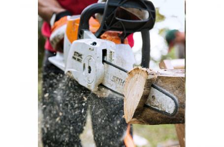 2023 STIHL MSA 160 C-BQ - Photo 3
