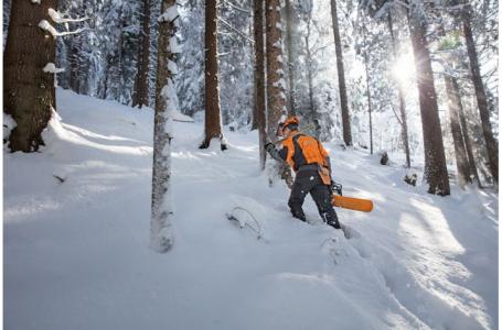 2023 STIHL MS 462 C-M - Photo 5
