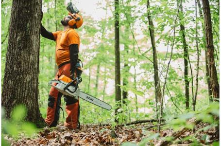 2023 STIHL MS 462 C-M - Photo 7