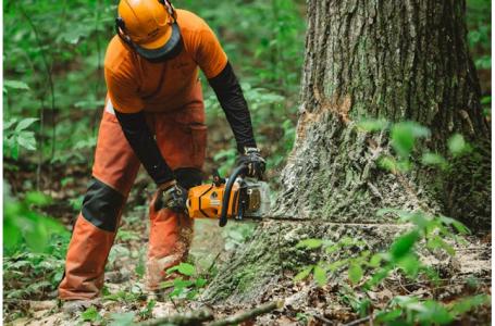 2023 STIHL MS 500i - Photo 2