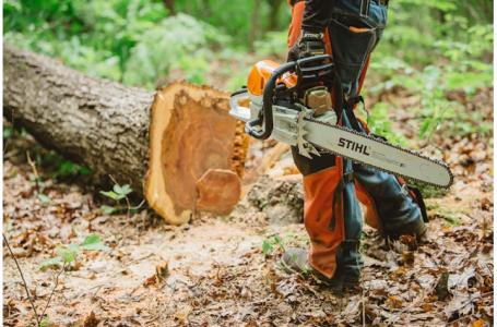 2023 STIHL MS 462 C-M - Photo 6