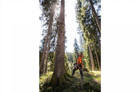 2023 STIHL MS 462 C-M - Photo 4