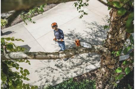 2023 STIHL HT 135 - Photo 2