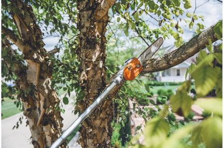 2023 STIHL HT 135 - Photo 4