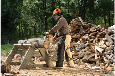 2023 STIHL MS 311 - Photo 2