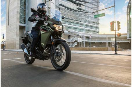 2024 Kawasaki VERSYS-X 300 ABS - Photo 3