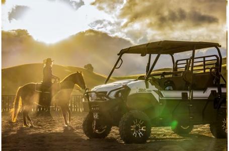 2024 Kawasaki MULE PRO-FXT 1000 LE PLATINUM RANCH EDITION - Photo 10