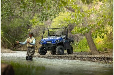 2024 Kawasaki Mule™ PRO-FXR 1000 LE - Photo 4